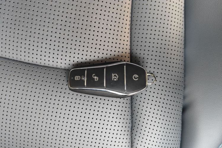 BYD Sea Lion 07 DM-i 2025 car image #14