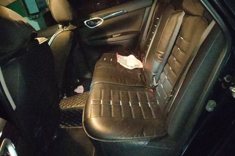 日产 轩逸·纯电 2019 汽车图片 #14