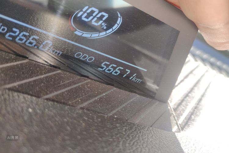 Neta V 2022 imagen de coche #14