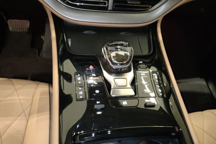 Denza D9 2024 car image #14