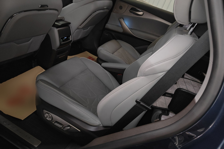 Denza N8 2023 imagen de coche #14