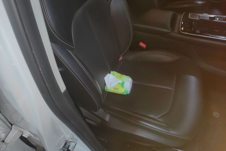 Roewe i6 MAX New Energy 2024 imagem de carro #14