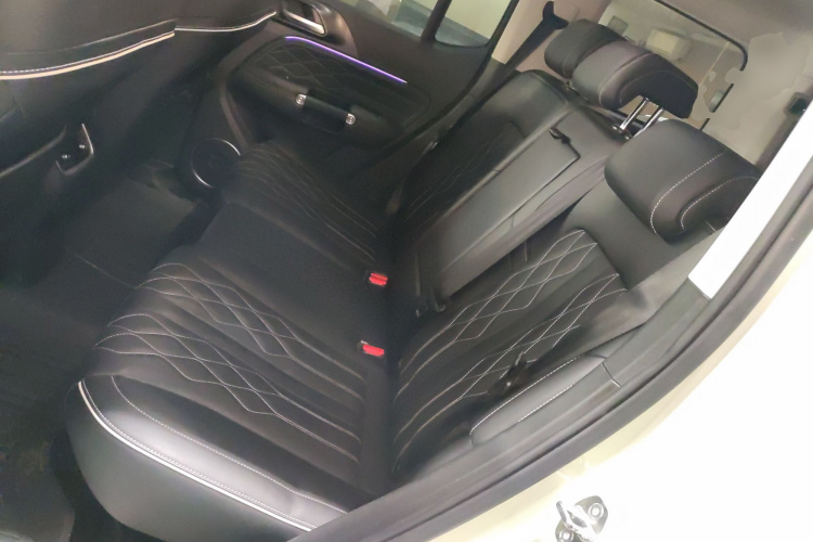 Tank 300 2021 immagine di auto #14