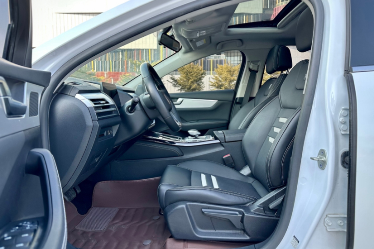 BYD Qin Pro New Energy 2020 car image #14