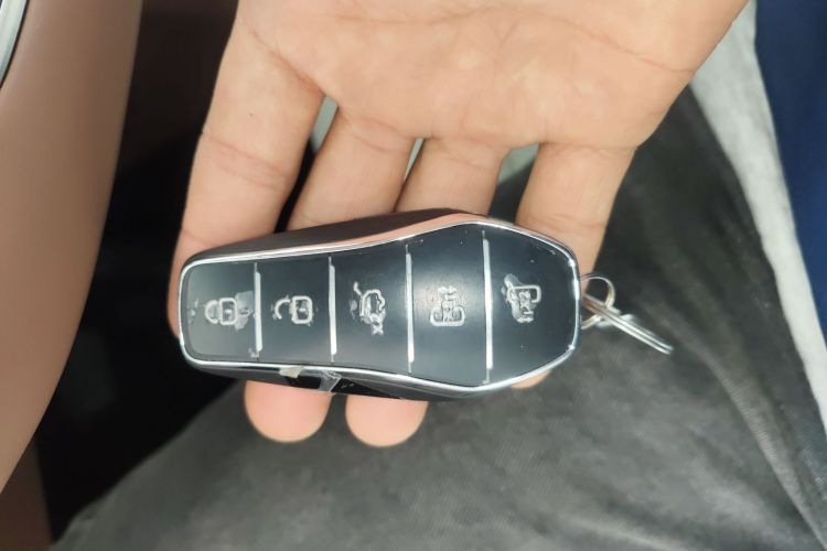 BYD Xia 2024 imagen de coche #14