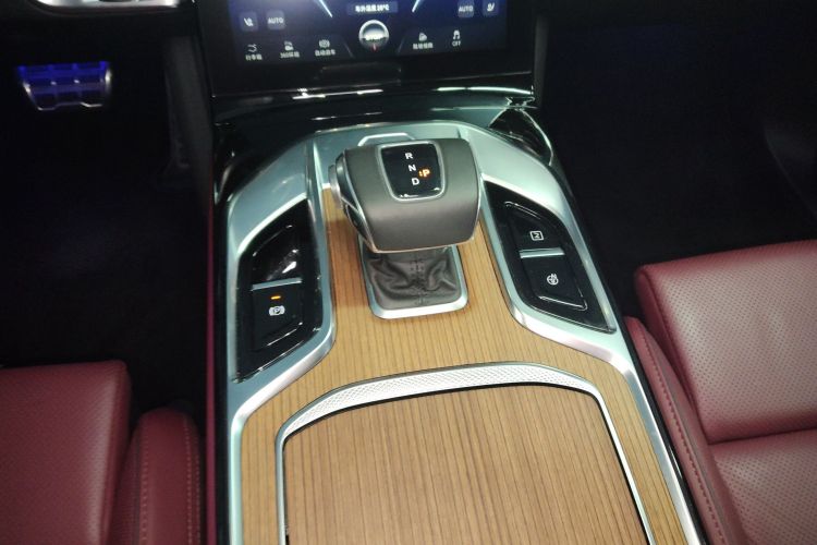 HongQi E-HS9 2023 #14 HongQi E-HS9 2023 car image #14