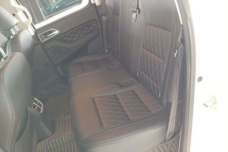 Great Wall Poer 2020 car image #14