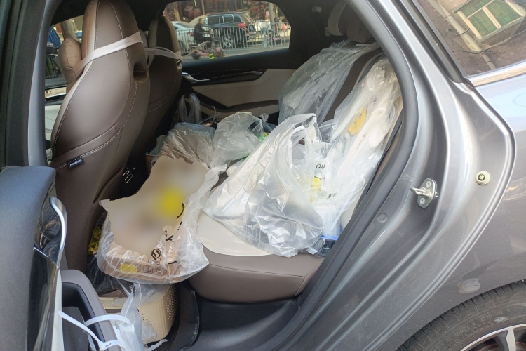 BYD Qin Plus 2024 immagine di auto #14