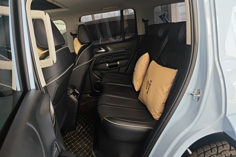 Tank 300 New Energy 2024 car image #14