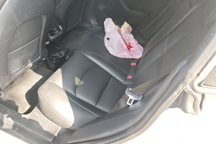 Model 3 2020 car image #14