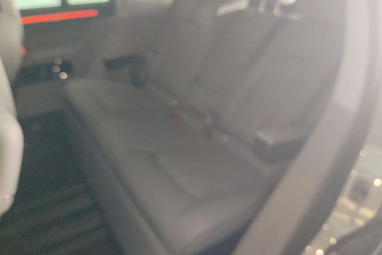 极氪 极氪MIX 2024 汽车图片 #14