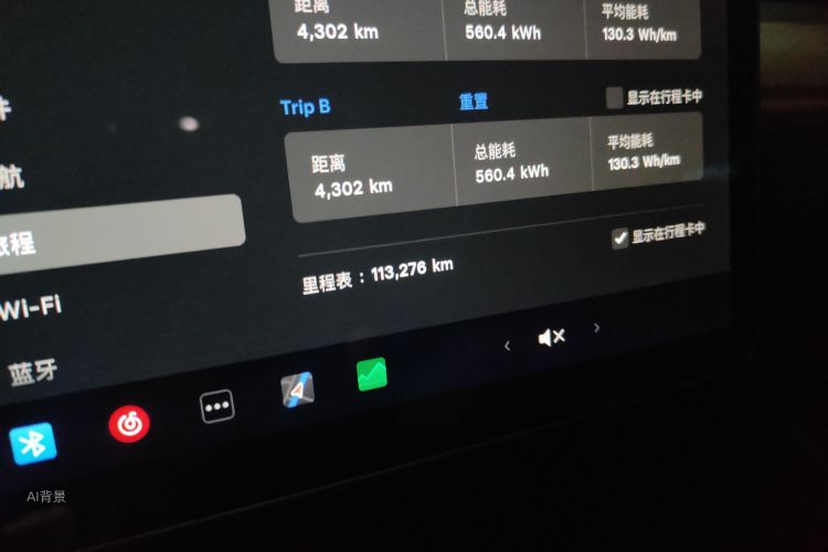 Tesla Model 3 2021 car image #14