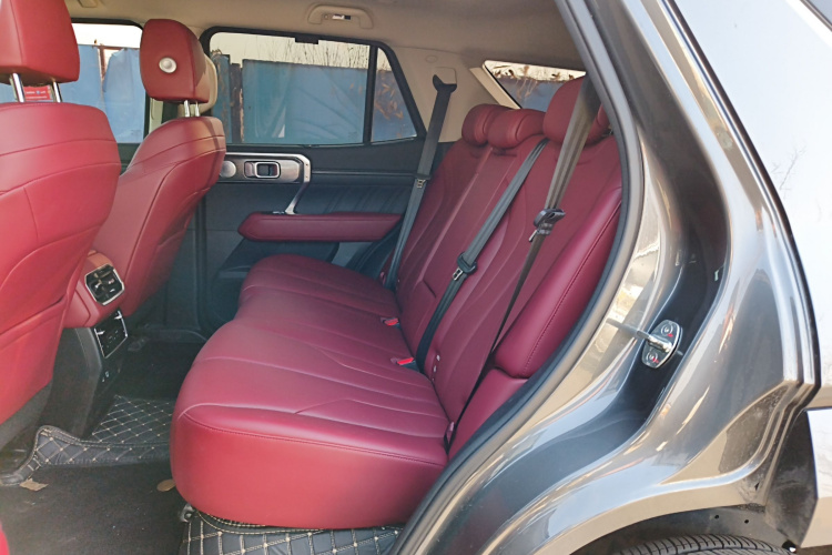 Tank 400 New Energy 2024 immagine di auto #14