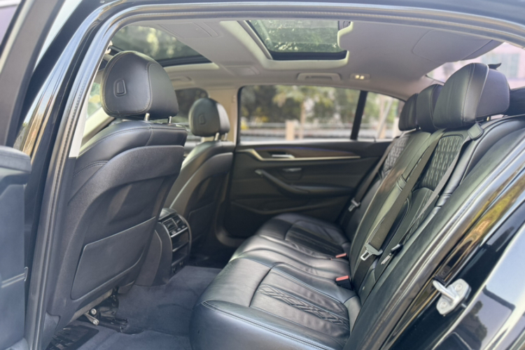 BMW 5 Series New Energy 2018 car image #14