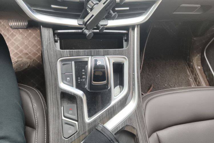 GEELY JiaJi 2021 car image #14