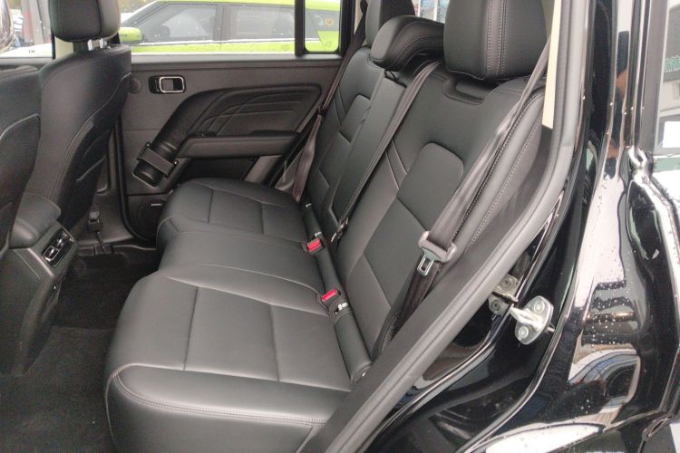 Haval Raptor New Energy 2025 car image #14