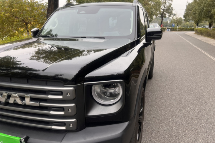 Haval Raptor New Energy 2023 car image #14