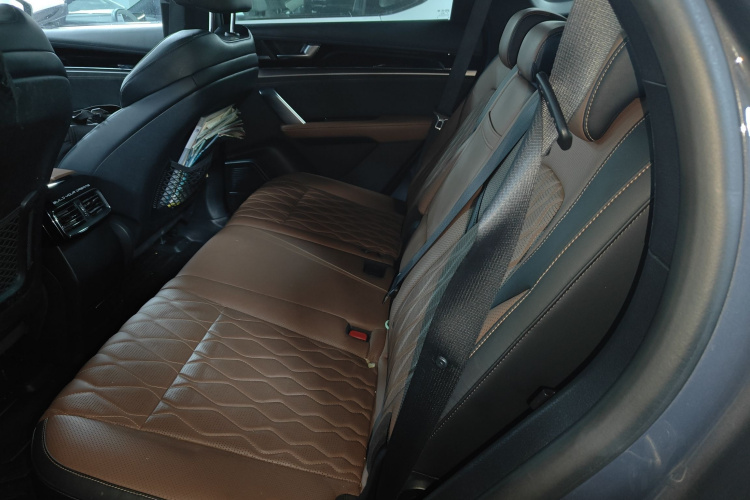 BYD Tang New Energy 2022 car image #14