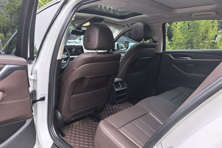 BMW 5 Series New Energy 2021 car image #14