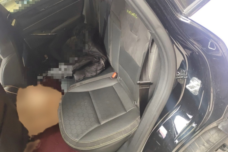 Haval H6S 2022 immagine di auto #14