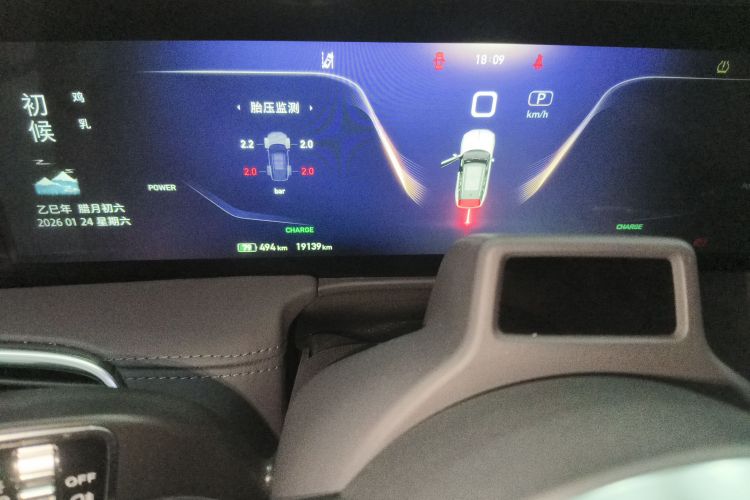 HongQi E-HS9 2023 car image #14