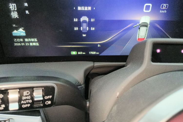 HongQi E-HS9 2023 imagem de carro #14