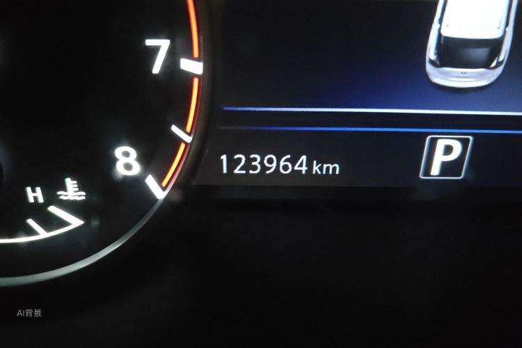 Nissan Murano 2018 image de voiture #14