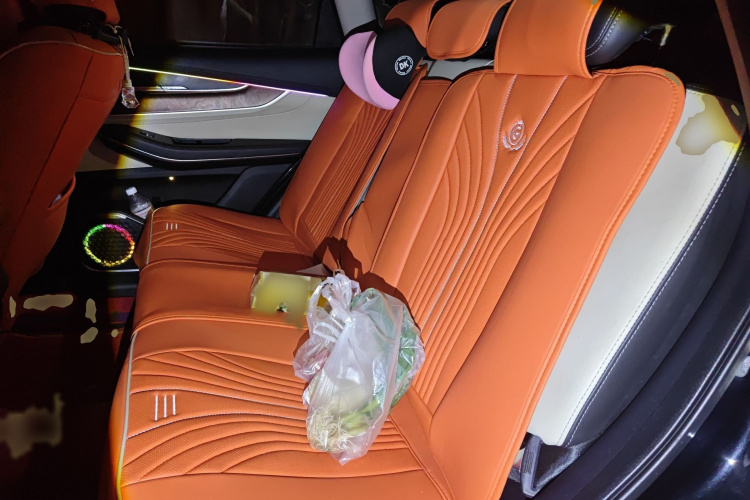 Exceed Chasing Wind 2019 car image #14