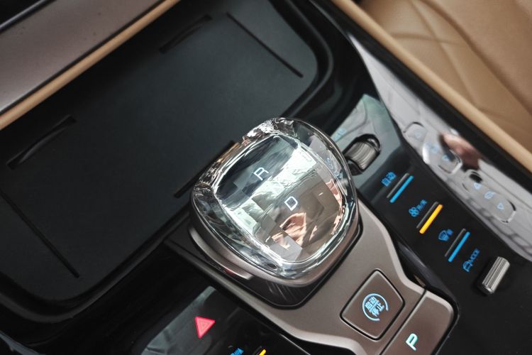 Denza D9 2023 immagine di auto #14