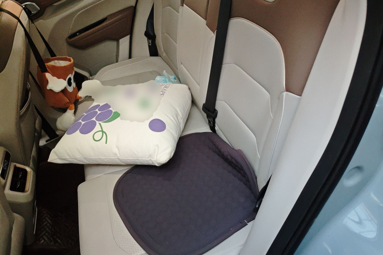 GEELY ICON 2021 #14 GEELY ICON 2021 car image #14