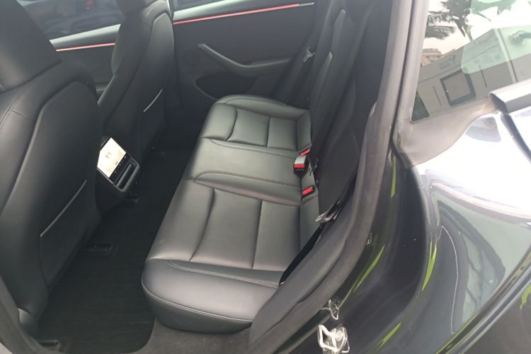 Tesla Model 3 2024 immagine di auto #14