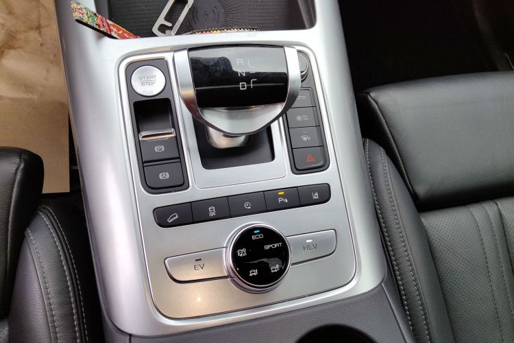 Denza X 2022 car image #14