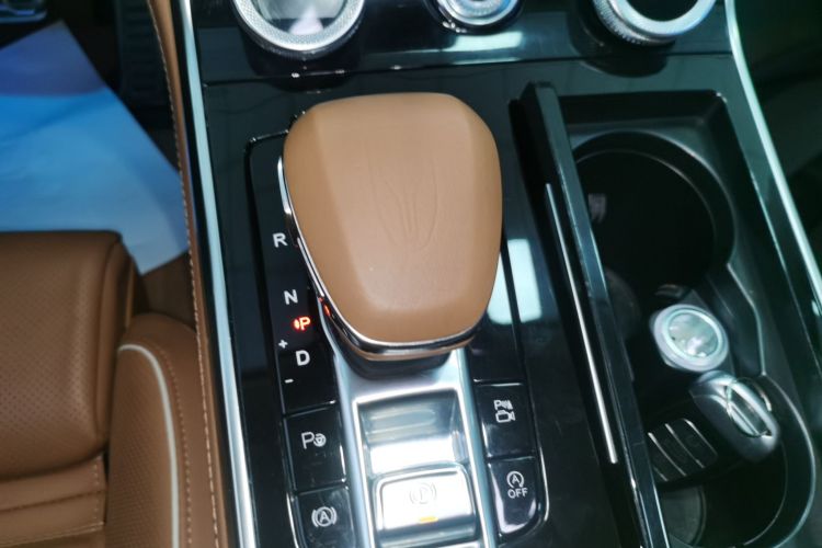 HongQi H9 2020 car image #14