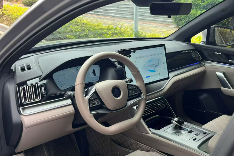 BYD Tang New Energy 2025 car image #14