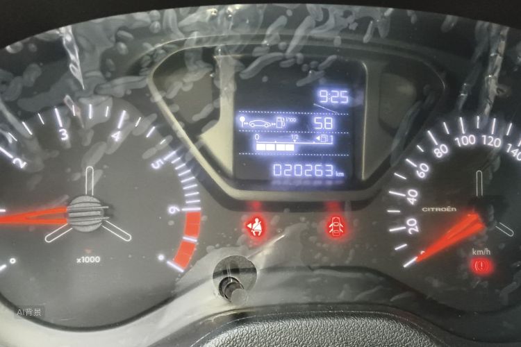 Citroen C-Elysée 2019 car image #14