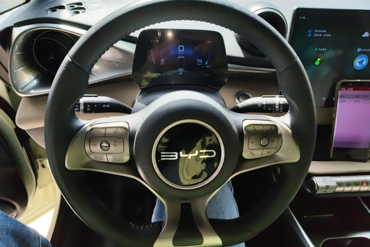 BYD Dolphin 2023 car image #14