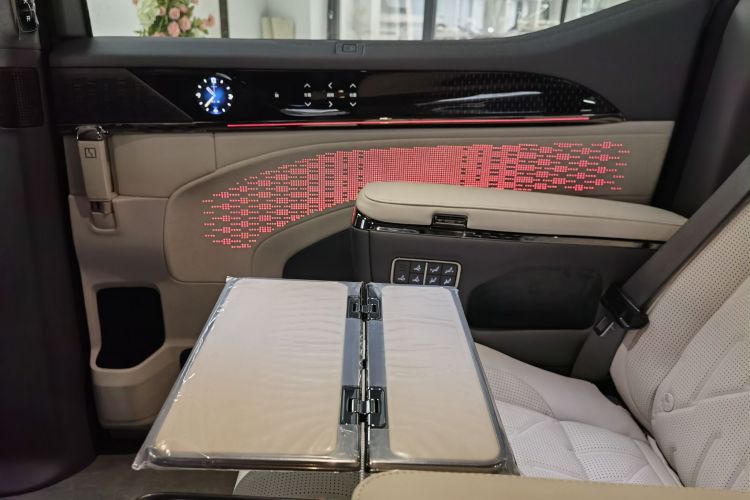 极氪 极氪009 汽车图片 #14