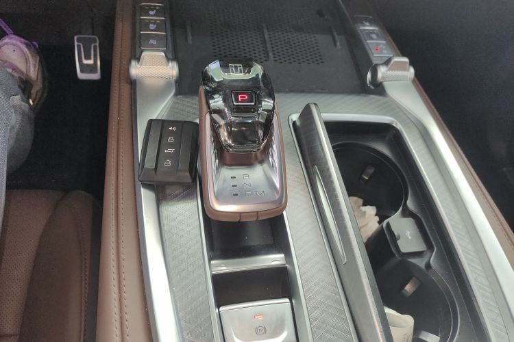 Tank 700 New Energy 2024 immagine di auto #14