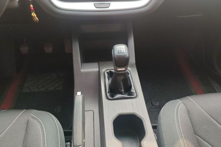 X70M 2020 car image #14