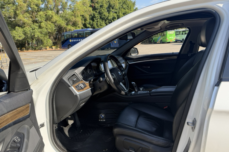 BMW 5 Series 2014 car image #14