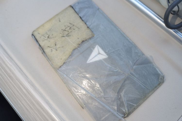 Deepal S09 2025 imagen de coche #14