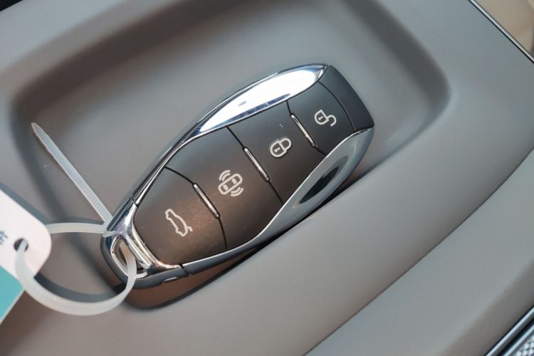 HongQi TianGong 08 2025 car image #14