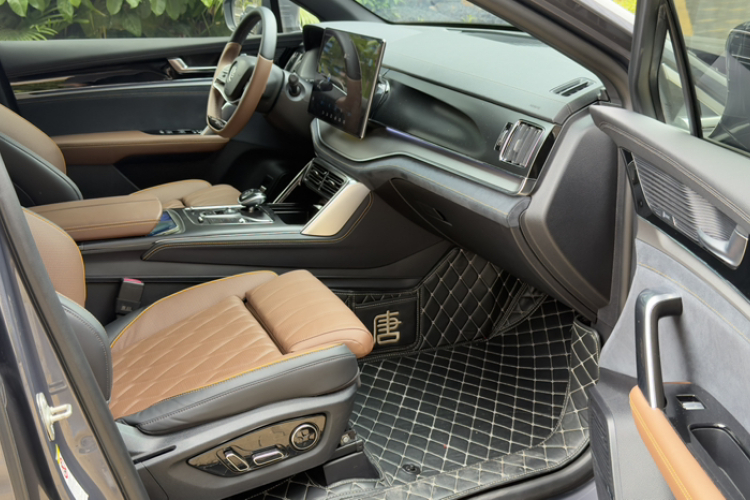 BYD Tang New Energy 2022 car image #14