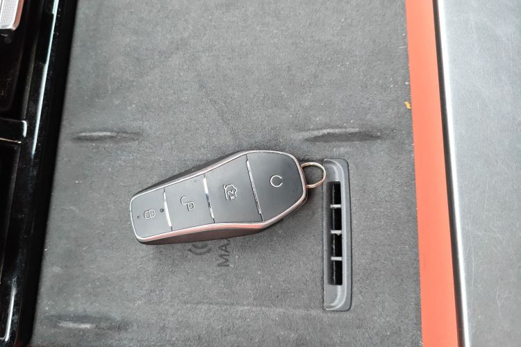 BYD Tang L 2025 immagine di auto #14