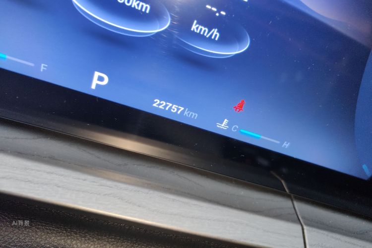 Chery Tiggo 8 PRO 2022 car image #14