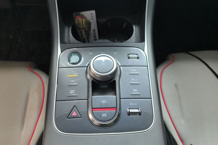 BYD Destroyer 05 2023 imagen de coche #14