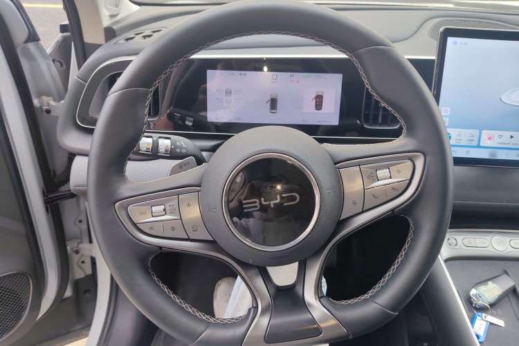 BYD Sea Lion 05 EV 2025 car image #14