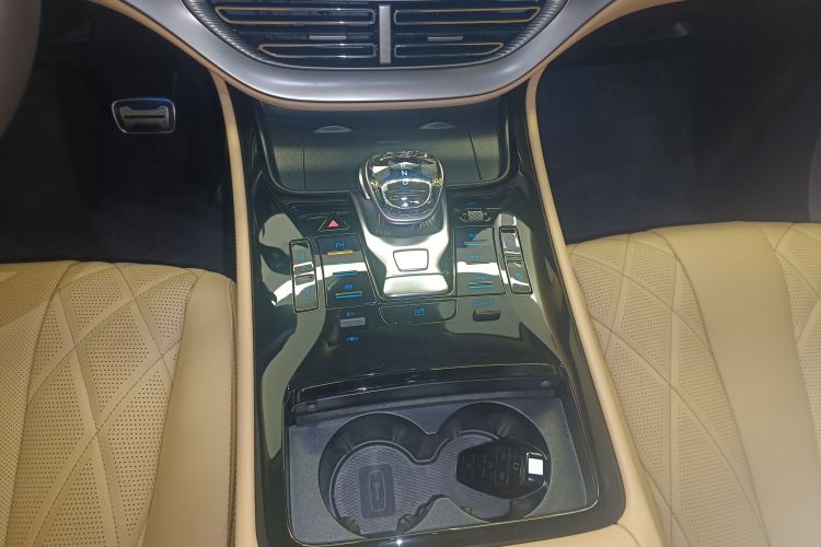 Denza D9 2025 immagine di auto #14