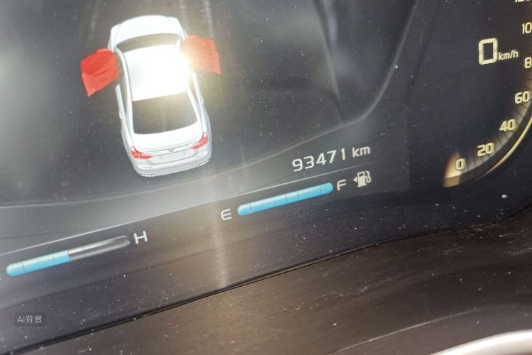 Emgrand 2019 car image #14
