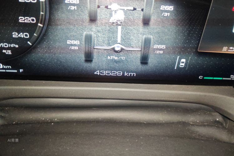 Tank 500 2023 immagine di auto #14